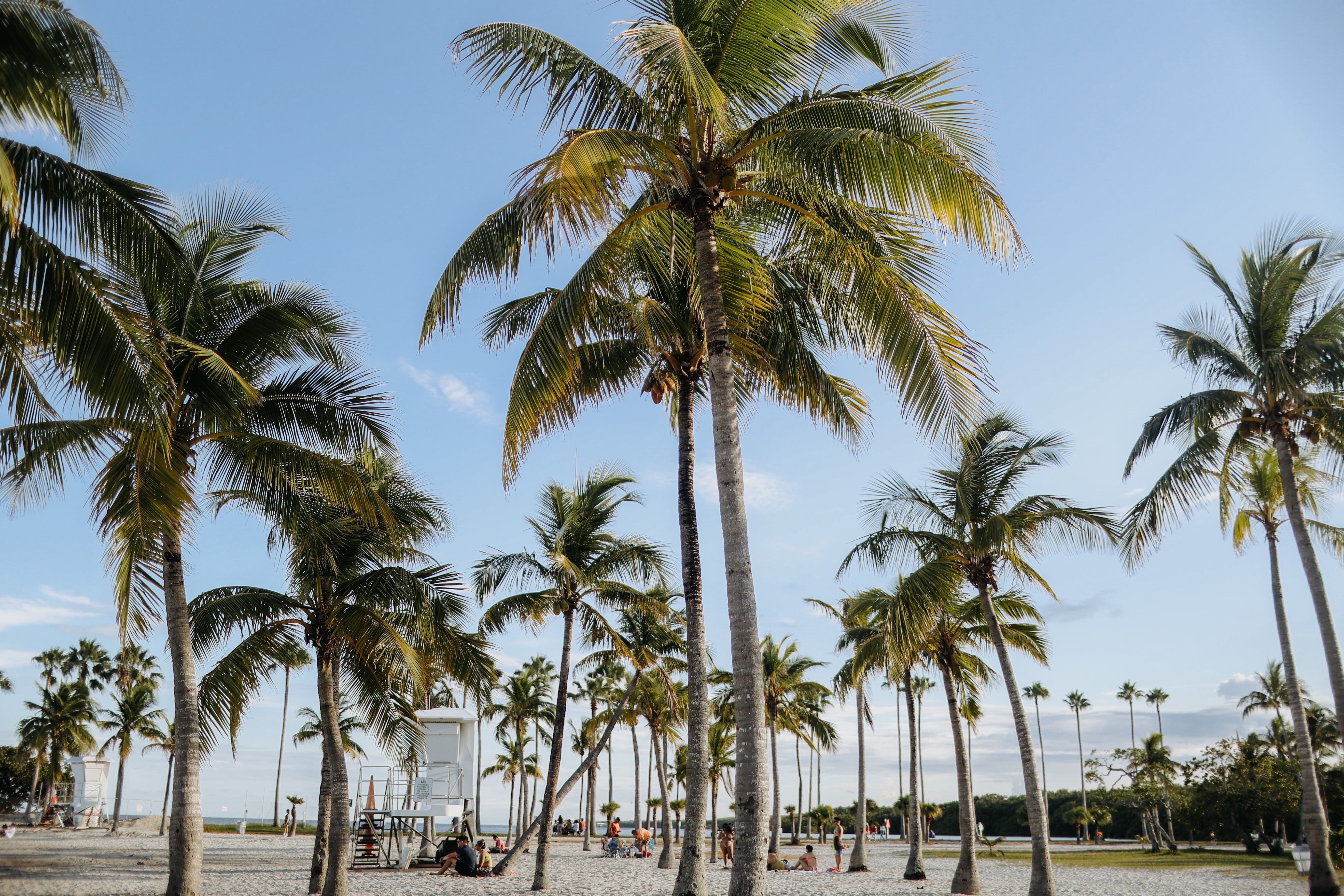 Homes for rent in Florida